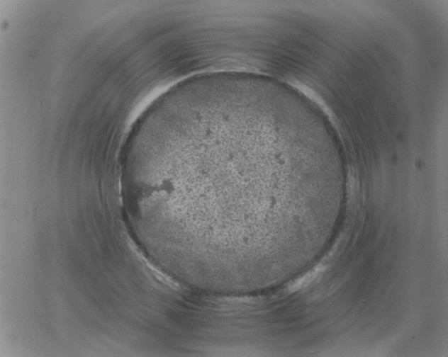 X0000061740925200512231456