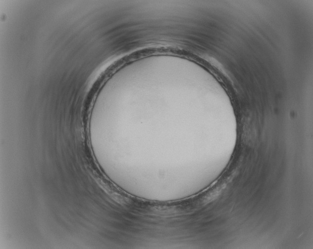 X0000061740927200512231456