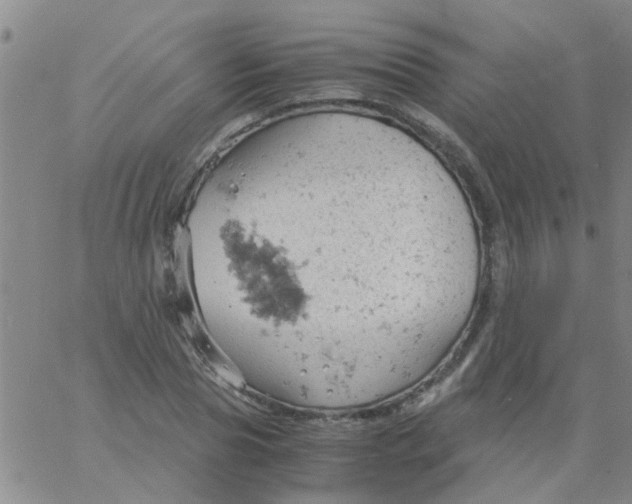 X0000061740929200512231456