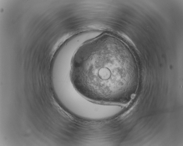 X0000061740930200512231456