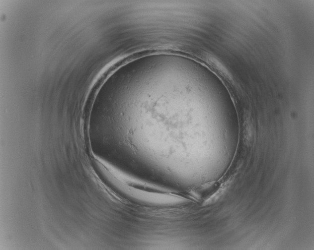 X0000061740932200512231456