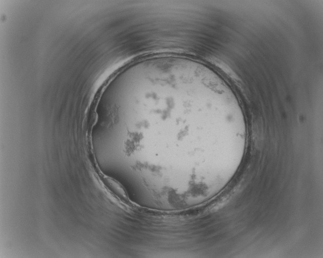 X0000061740933200512231456