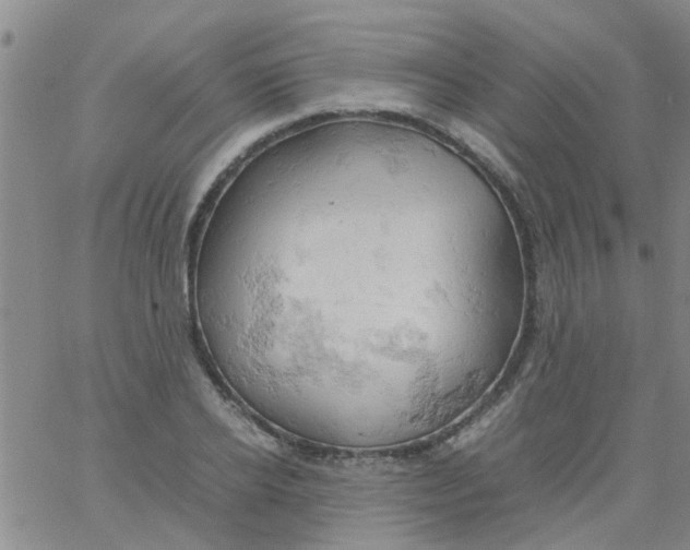 X0000061740934200512231456