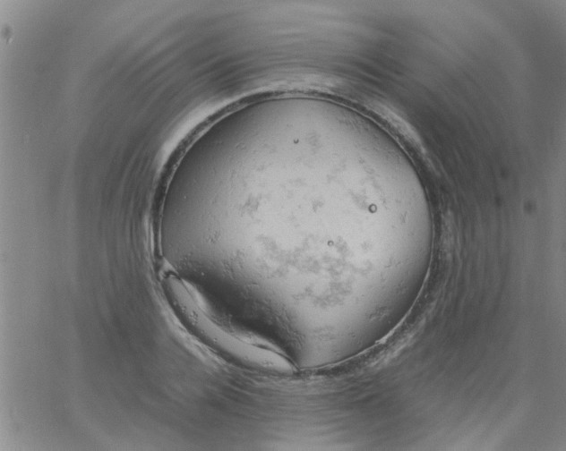 X0000061740936200512231456