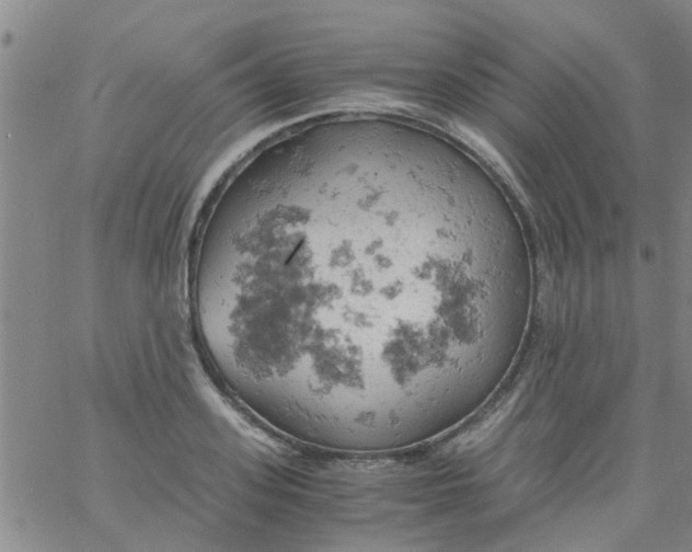 X0000061740939200512231456