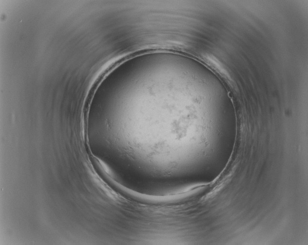 X0000061740940200512231456