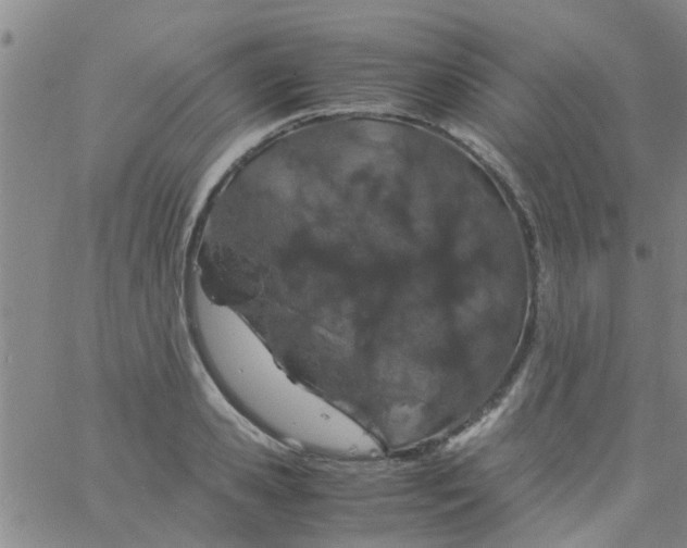 X0000061740941200512231456