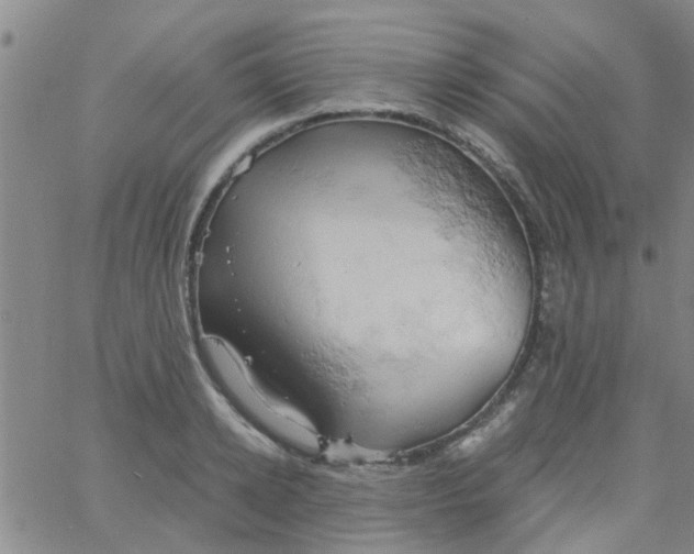 X0000061740942200512231456