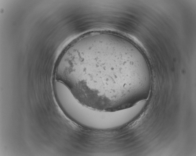 X0000061740943200512231456