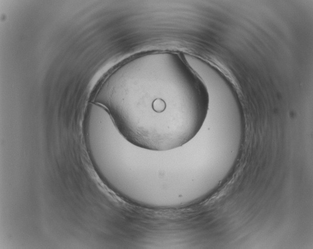 X0000061740944200512231456