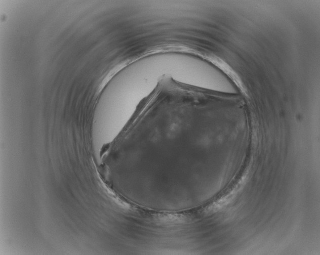 X0000061740945200512231456