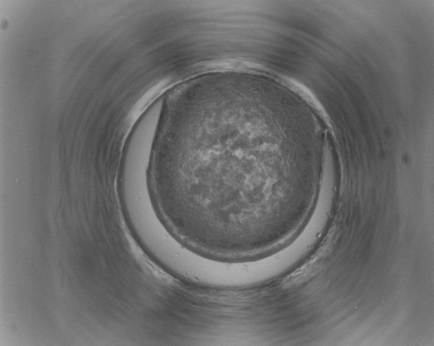 X0000061740946200512231456