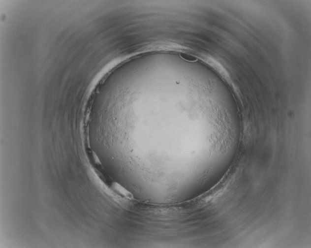 X0000061740947200512231456