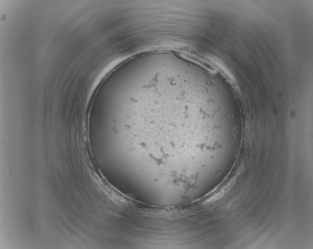 X0000061740948200512231456