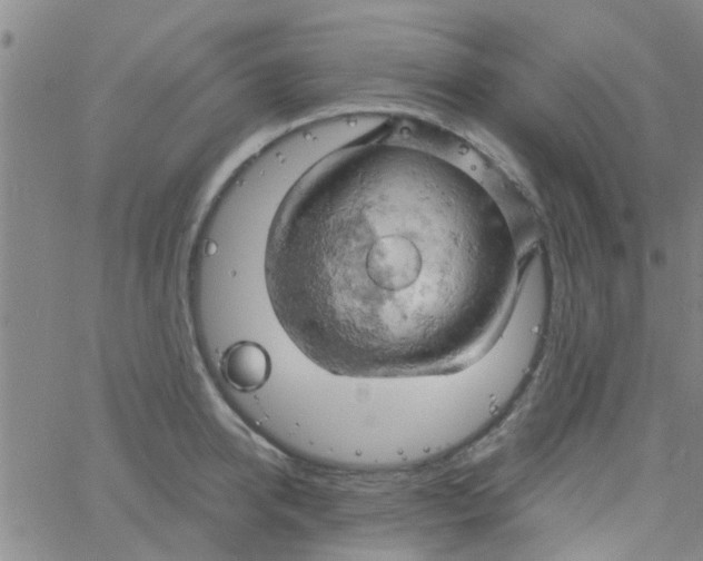 X0000061740950200512231456