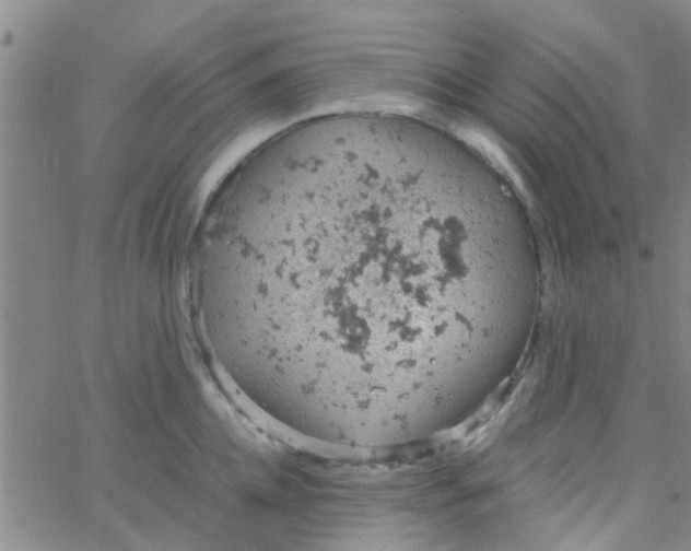 X0000061740952200512231456