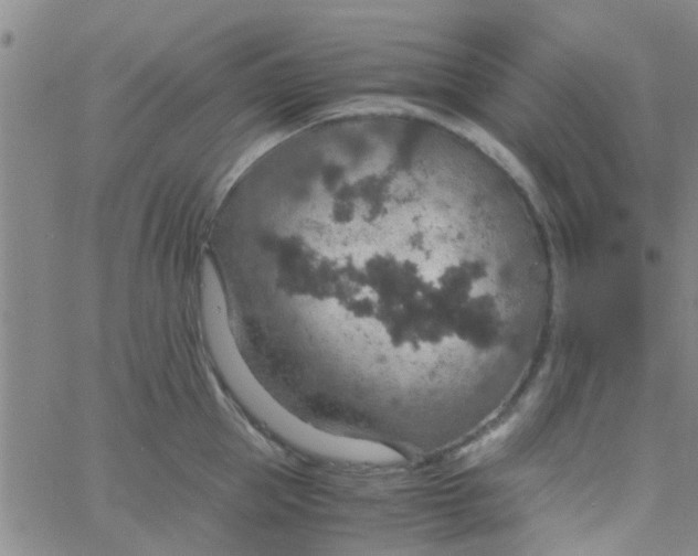 X0000061740953200512231457