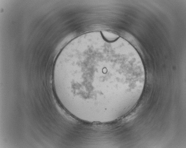 X0000061740954200512231457