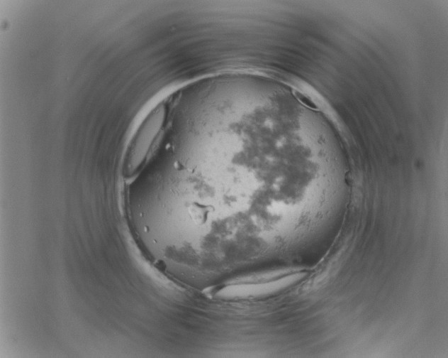 X0000061740955200512231457