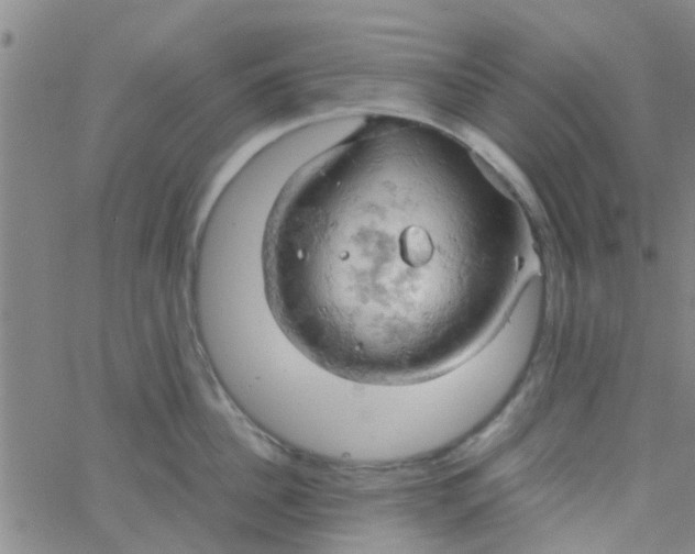 X0000061740956200512231457