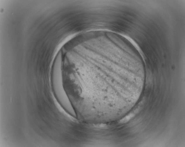 X0000061740957200512231457