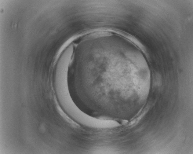 X0000061740958200512231457