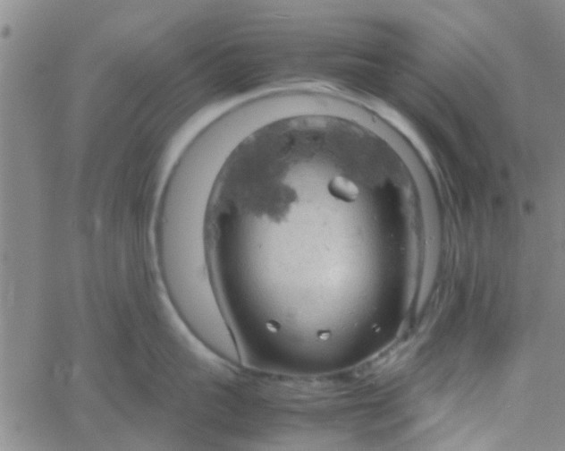 X0000061740959200512231457