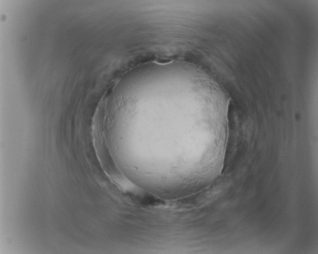 X0000061740961200512231456