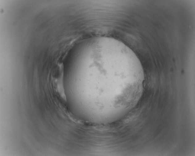 X0000061740962200512231456