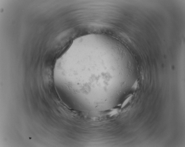 X0000061740964200512231456