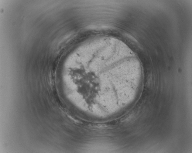 X0000061740966200512231456