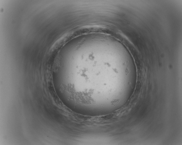 X0000061740967200512231456