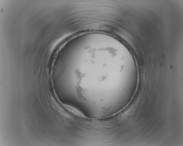 X0000061740971200512231456