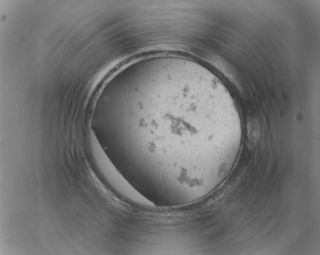 X0000061740972200512231456