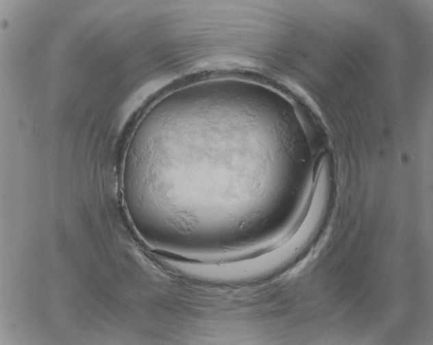 X0000061740973200512231456