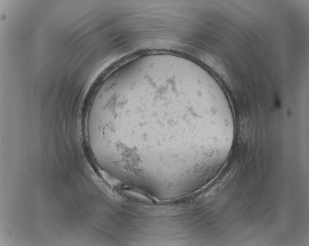 X0000061740976200512231456