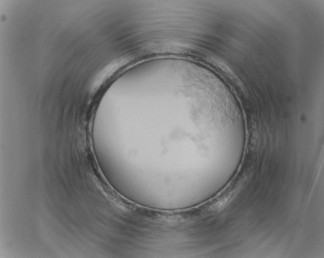 X0000061740978200512231456