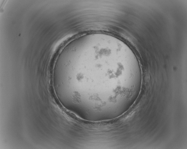 X0000061740979200512231456