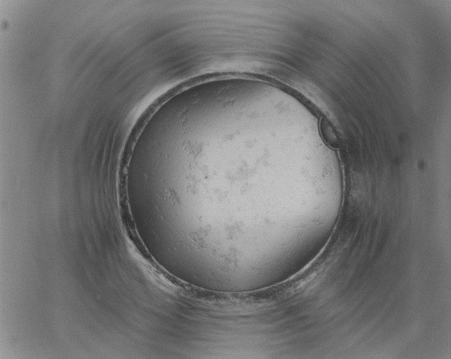 X0000061740980200512231456