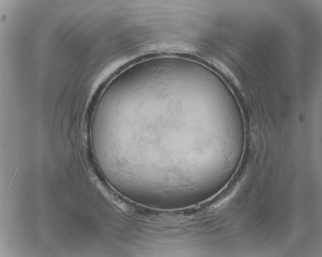 X0000061740981200512231456