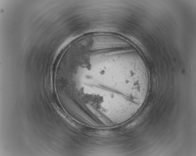 X0000061740982200512231456