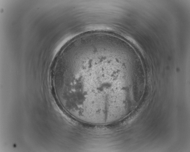 X0000061740983200512231455