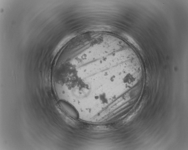 X0000061740986200512231455