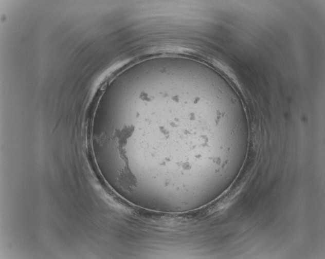 X0000061740987200512231455