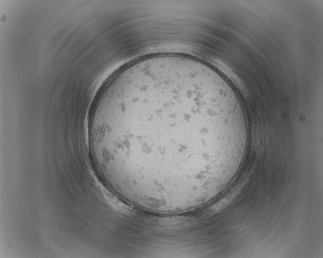 X0000061740988200512231455