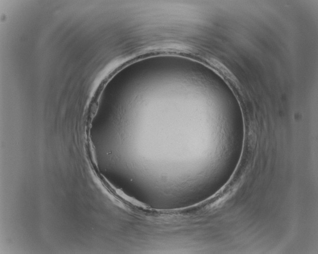 X0000061740989200512231455