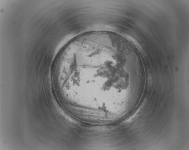 X0000061740990200512231455