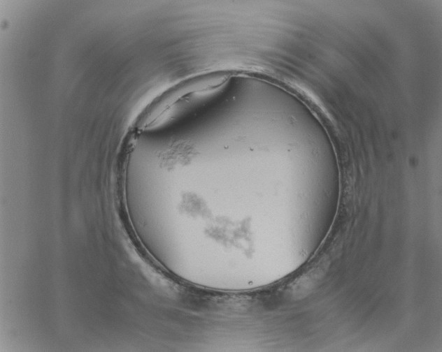 X0000061740991200512231455