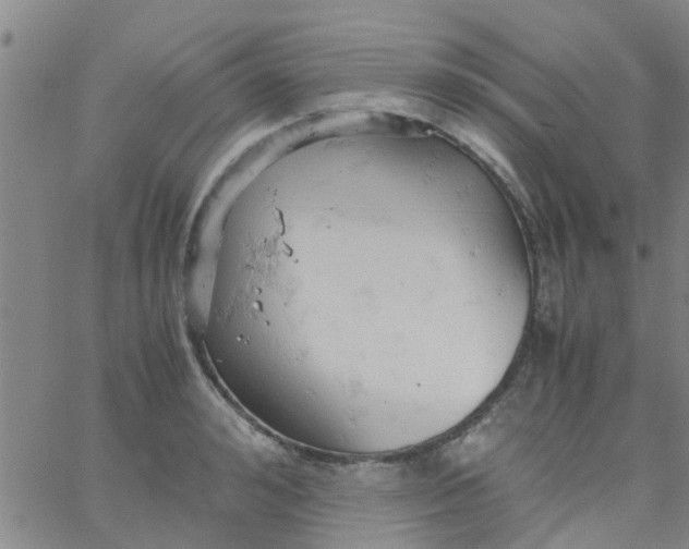 X0000061740992200512231455