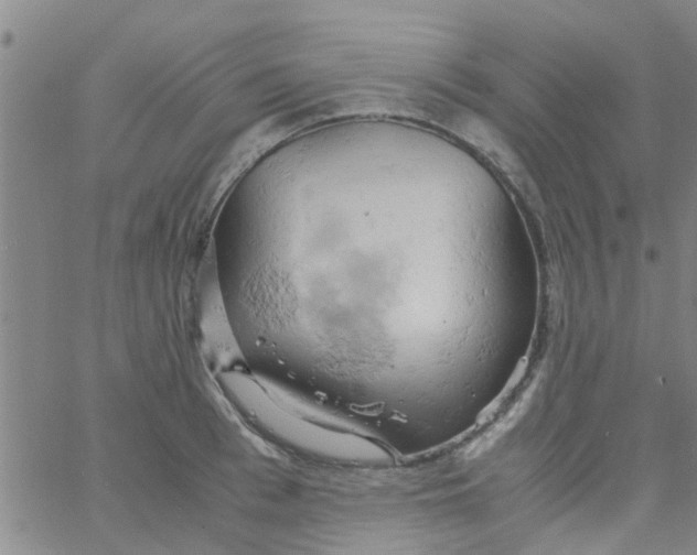 X0000061740993200512231455